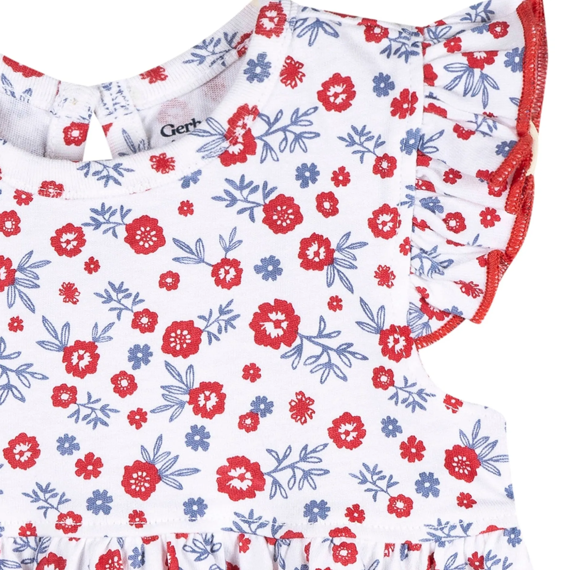 Baby Girls Red, White, & Blue Floral Dress
