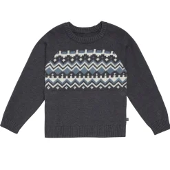 Infant & Toddler Boys Dark Grey Heather Fair Isle Viscose Sweater