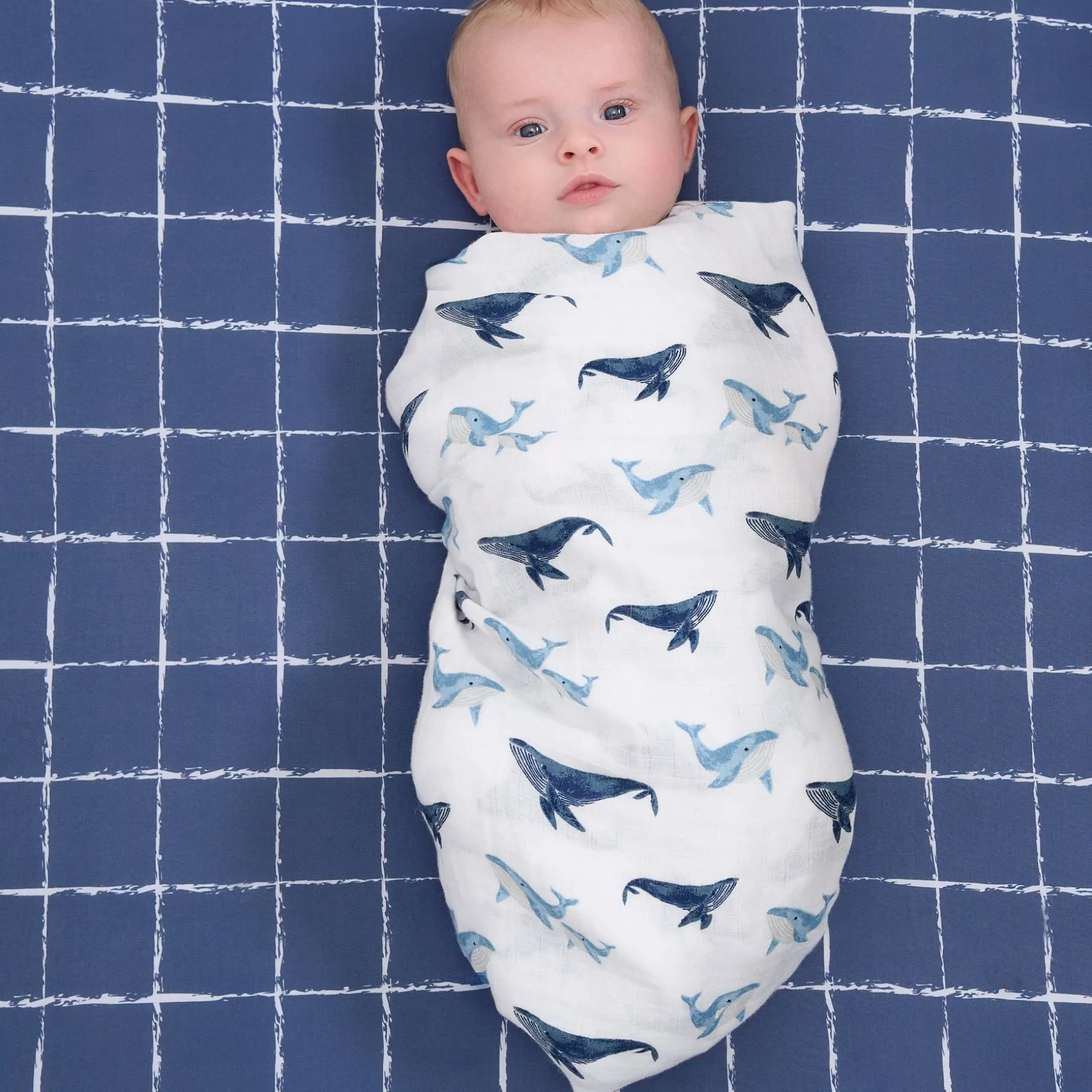 2-Pack Baby Boys Coastal Calm Muslin Blankets