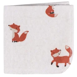 4-Pack Baby Boys Fox Terry Washcloths