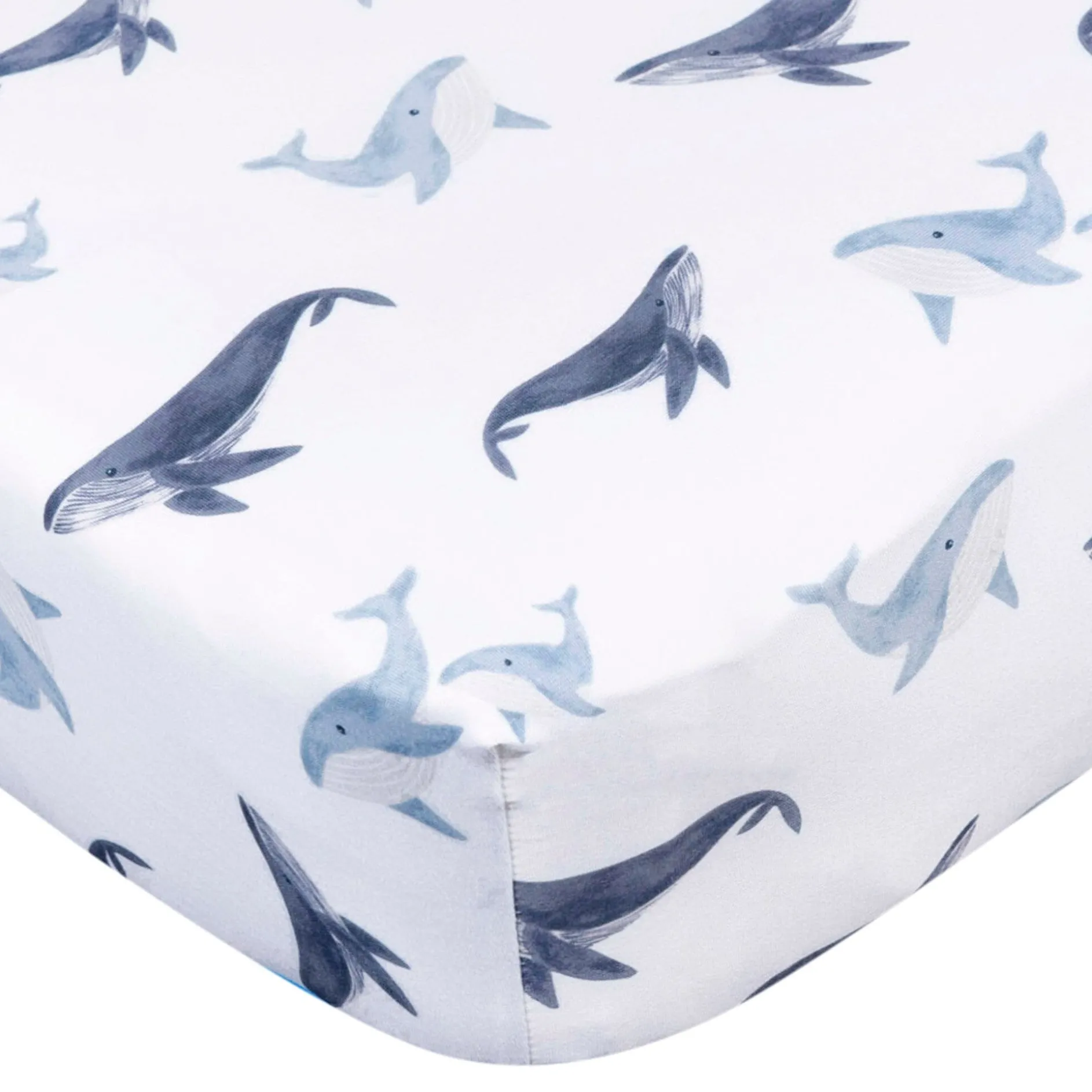 2-Pack Boys Coastal Calm Stretchy Crib Sheets