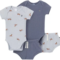 4-Piece Baby Boys Dachshund Surf Short Sleeve Bodysuits and Shorts Set
