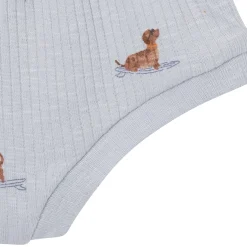4-Piece Baby Boys Dachshund Surf Short Sleeve Bodysuits and Shorts Set