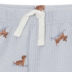 4-Piece Baby Boys Dachshund Surf Short Sleeve Bodysuits and Shorts Set