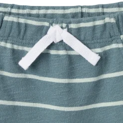 2-Piece Baby Boys Teal Stripe Henley Shirt and Shorts Set