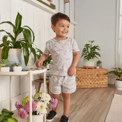 2-Piece Baby & Toddler Boys Heather Skateboard T-Shirt and Shorts Set