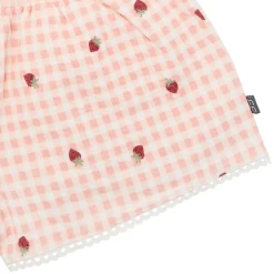 2-Piece Infant & Toddler Girls Rose Strawberry Gingham Top and Shorts Set