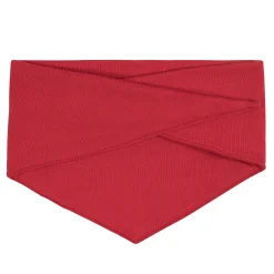 Red Hacci Pet Bandana