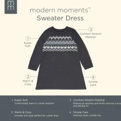 Toddler Girls Dark Grey Heather Fair Isle Viscose Sweater Dress